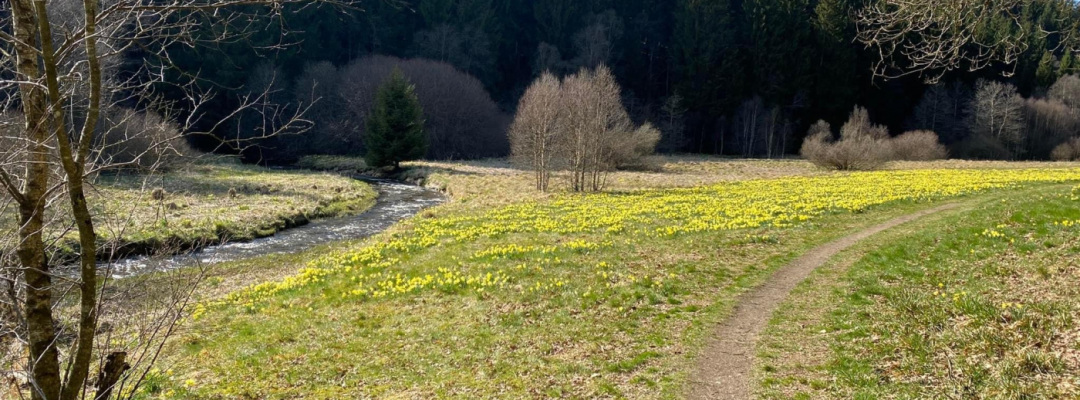 Umgebung | Familie Lambertz - Urlaub Am Schwarzbach, Monschau